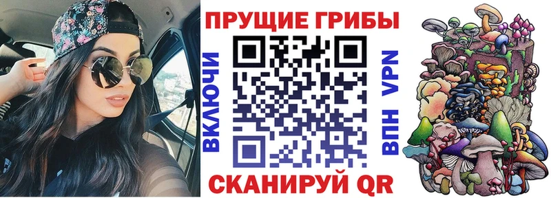 darknet официальный сайт  Уварово  Псилоцибиновые грибы ЛСД  мега  
