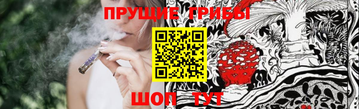купить   Псилоцибиновые грибы Cubensis  Вход с VPN  Уварово 